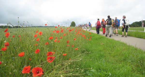 03Linzgau2-0616