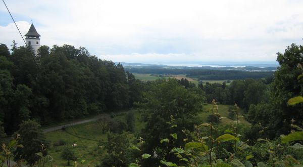 11Linzgau2-0616