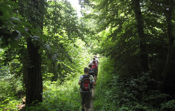 13Linzgau2-0616