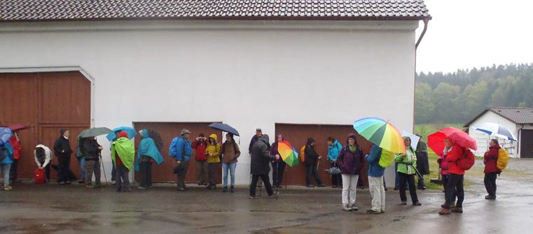 Linzgau1-0416-10