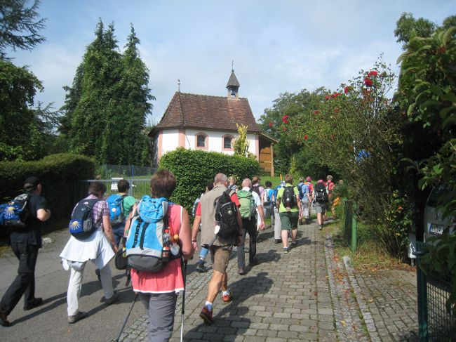 LinzgauEt3_0716_04