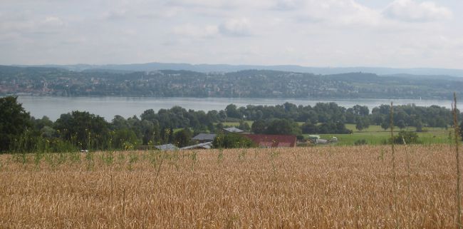 LinzgauEt3_0716_07