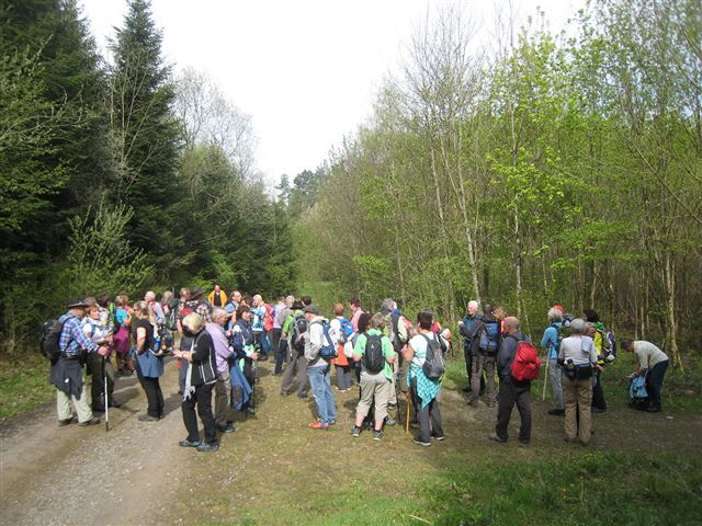 Kinzigtaler2-0517-03