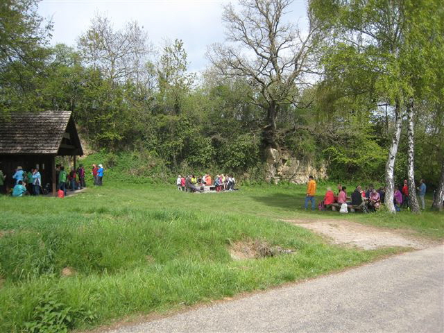 Kinzigtaler2-0517-06