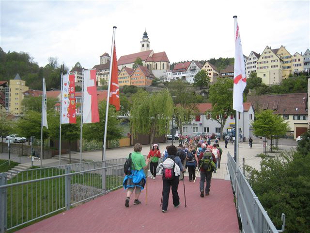 Kinzigtaler2-0517-07