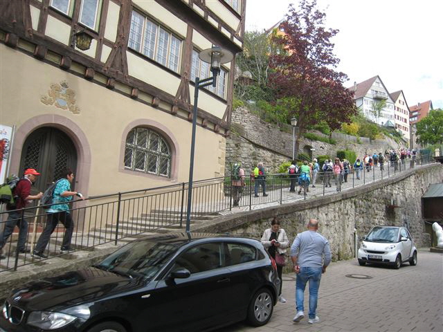 Kinzigtaler2-0517-08